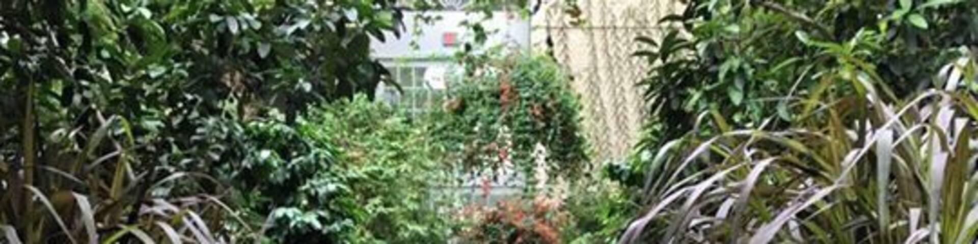 pumpkins everywhere!