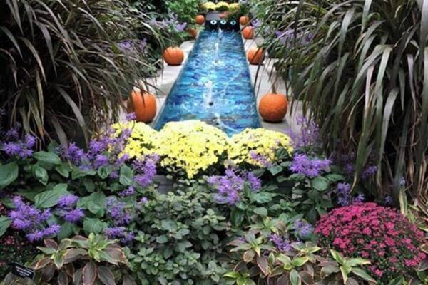 pumpkins everywhere!