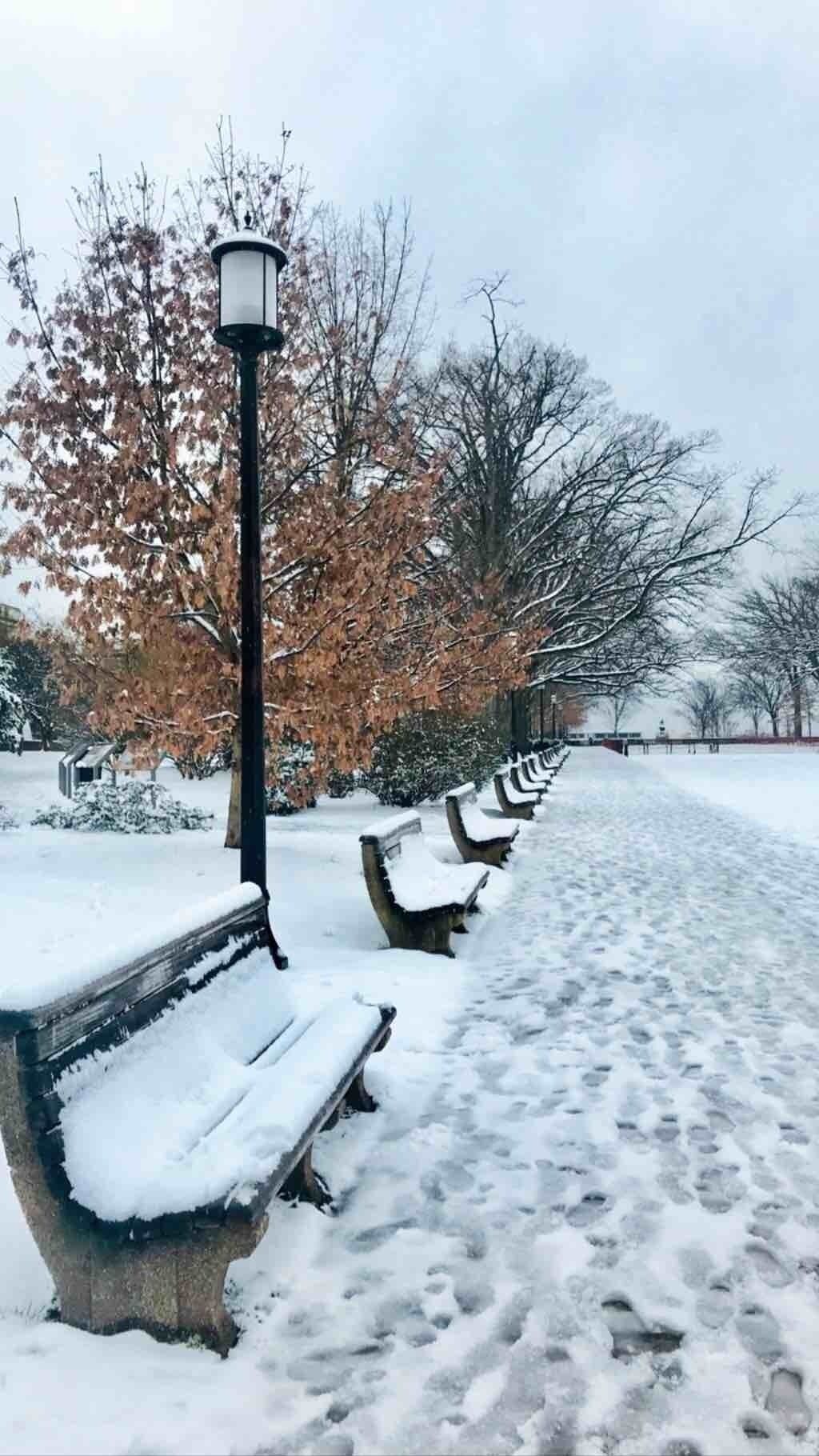 Washington, D.C. got its fair share of snow this year.