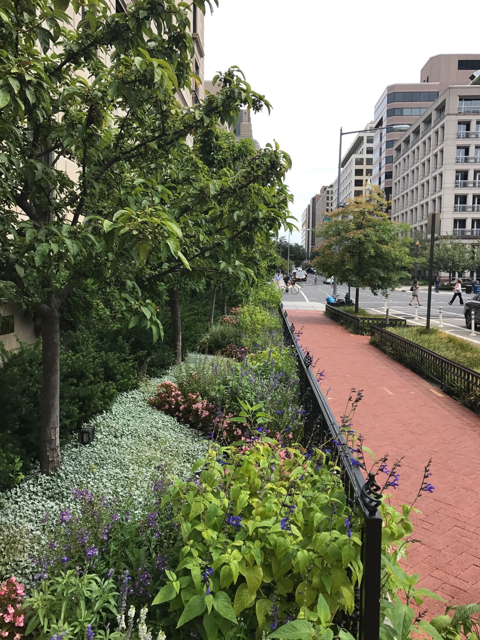 So glad to see this amazing garden every morning at work.