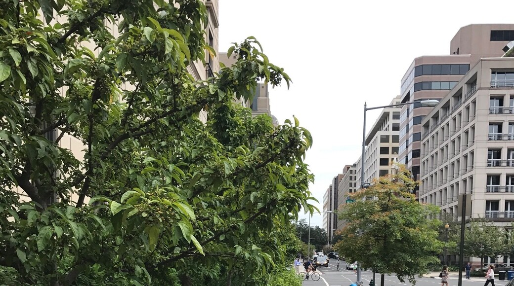 So glad to see this amazing garden every morning at work.