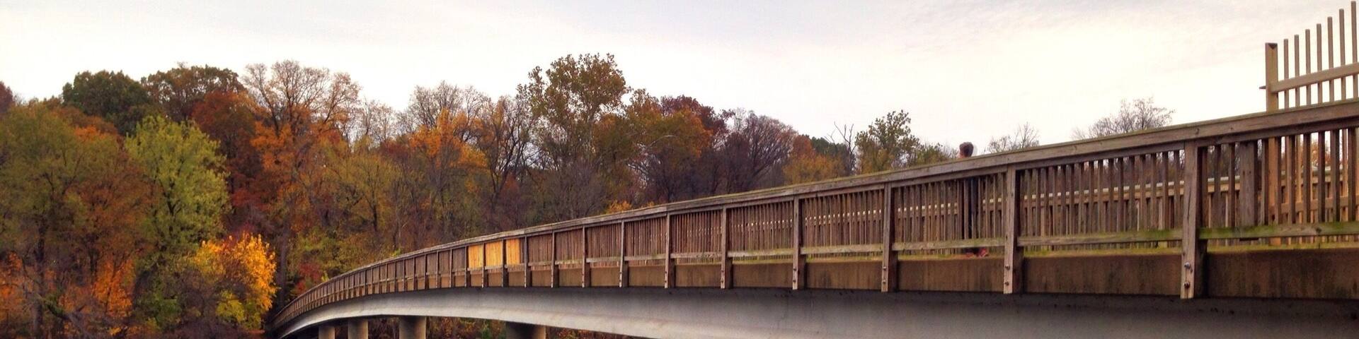 Hurray for gray days in DC