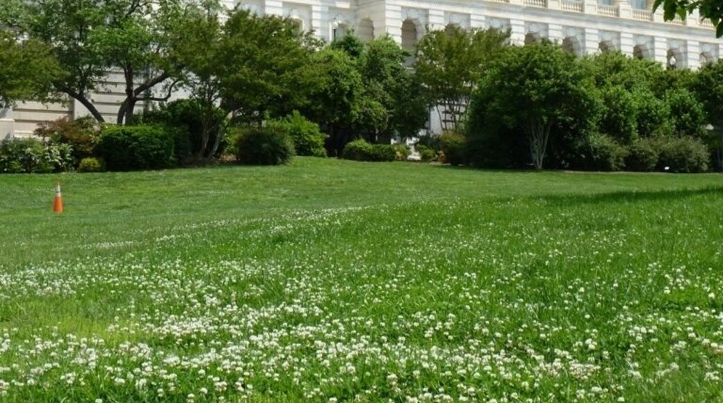 Connecticut Avenue-K Street