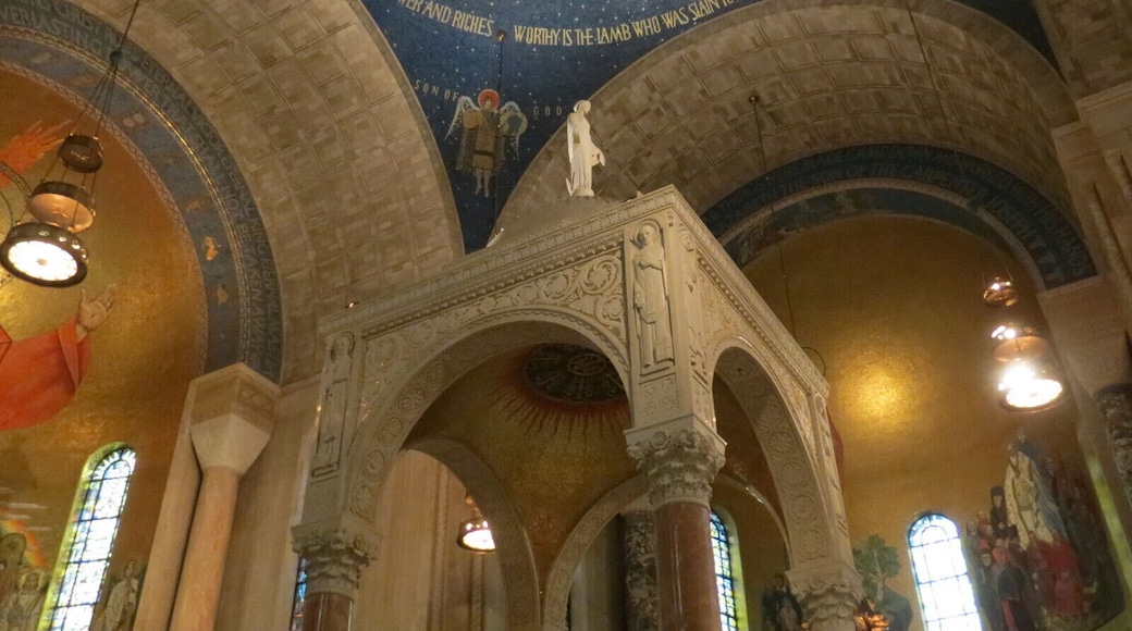 A few years ago I had to sing in the largest Catholic Church in America. The acoustics were absolutely amazing.