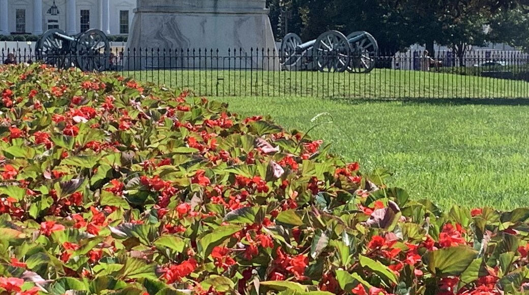 It was nice to see the sum,er flowers still in bloom in Layfayette Square.
#travel #photography #flowers #nature