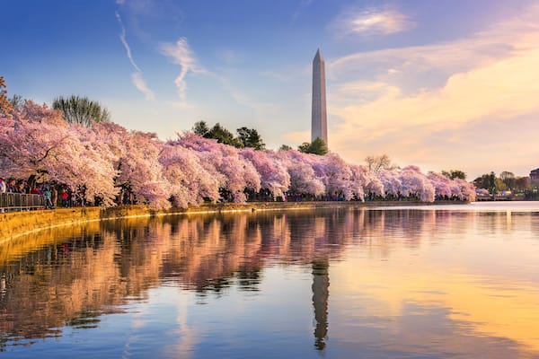 Washington DC in Spring