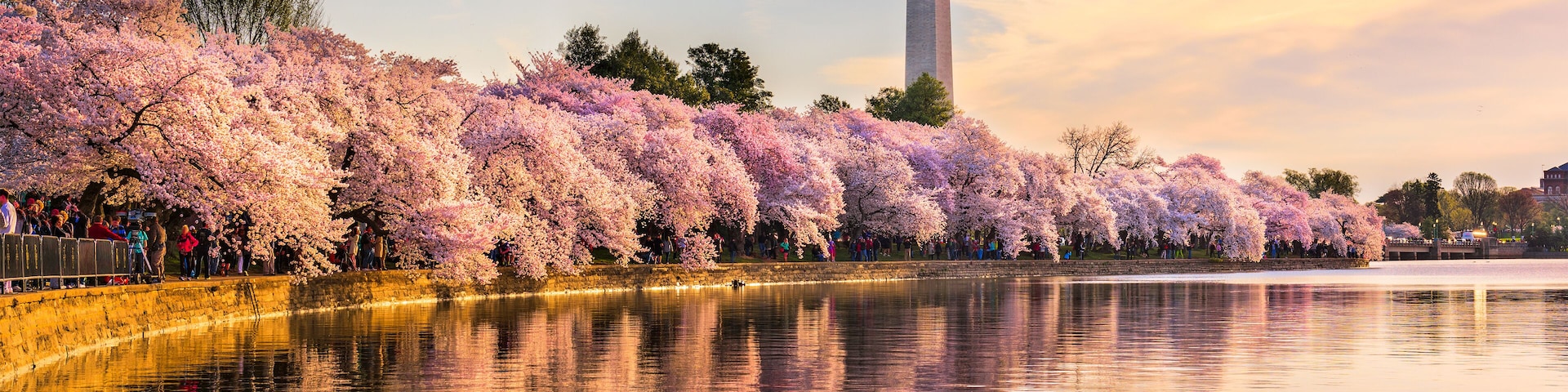 Washington DC in Spring