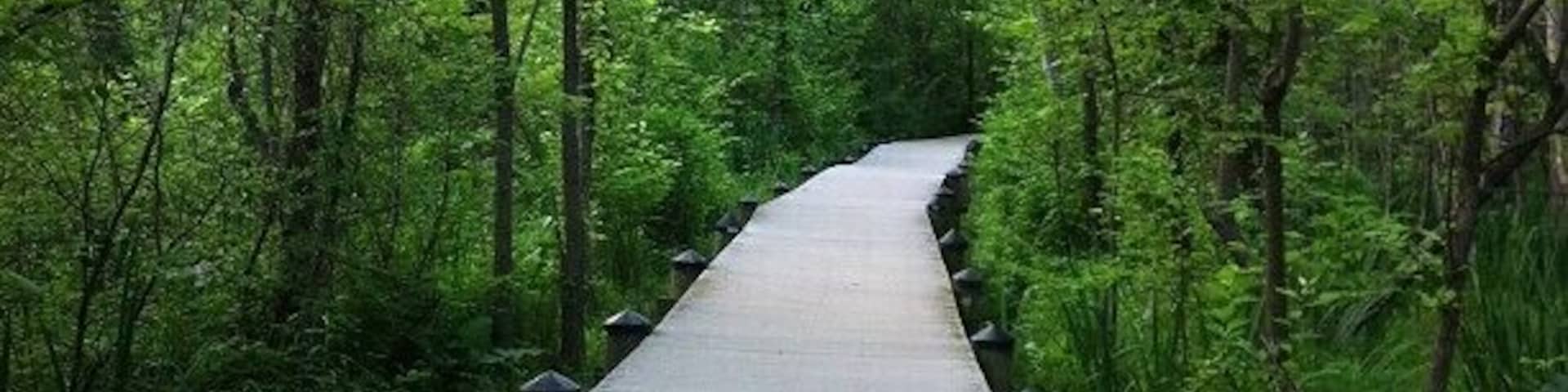 Theodore Roosevelt Island in Washington D.C. - a great piece of nature in the city!