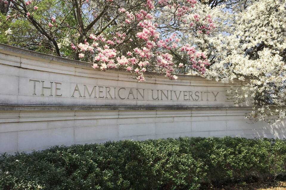 Ein Schild für die American University, im Hintergrund blühende Bäume.