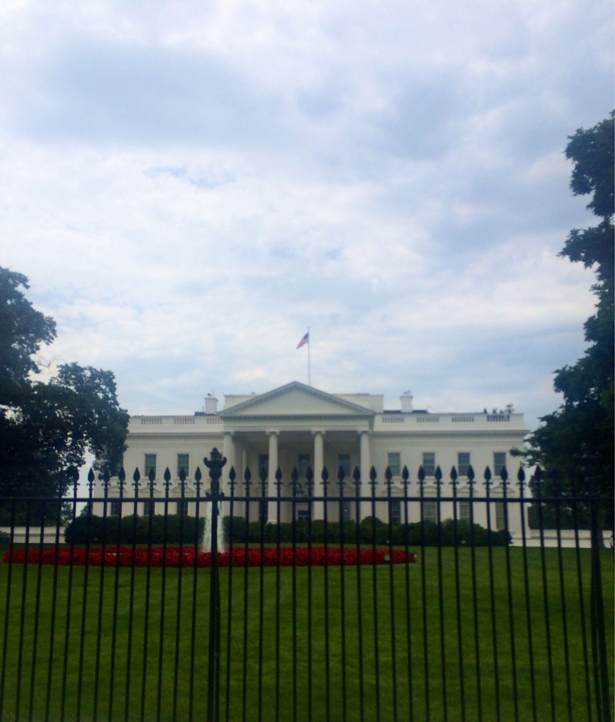 The White House 