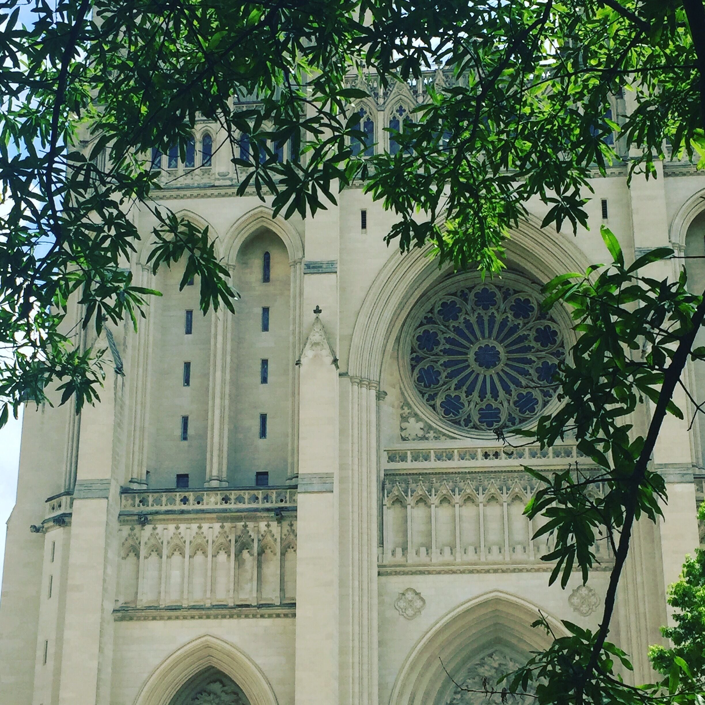 Beautiful Cathedral #DC #sighttosee 