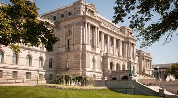 Wandering around D.C.