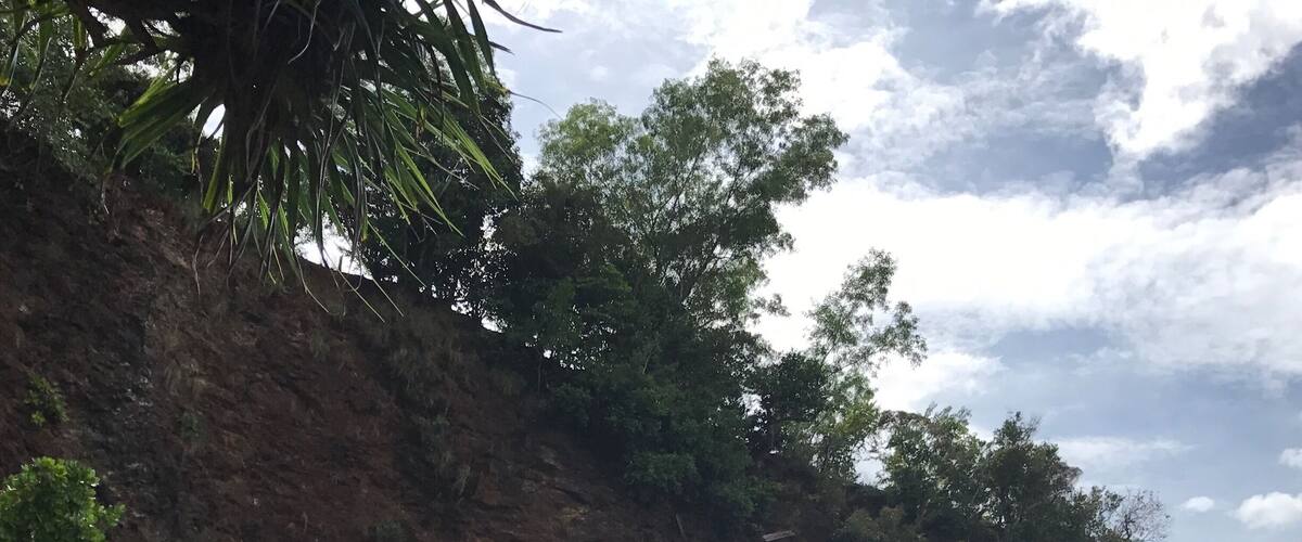 A coastal rock formation with a natural archway, dense foliage, and a calm sea.