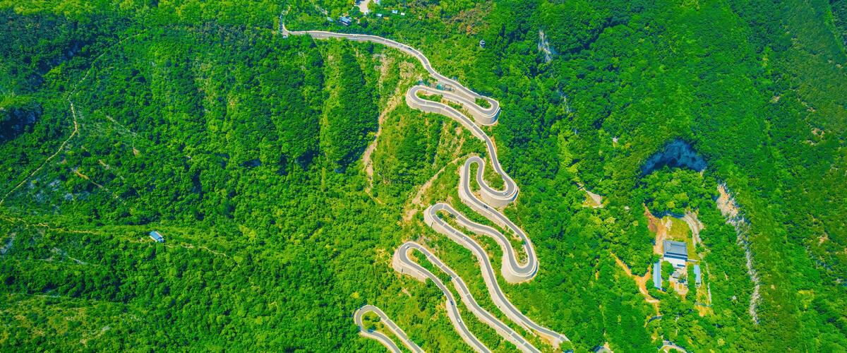 A winding road through a dense forest.