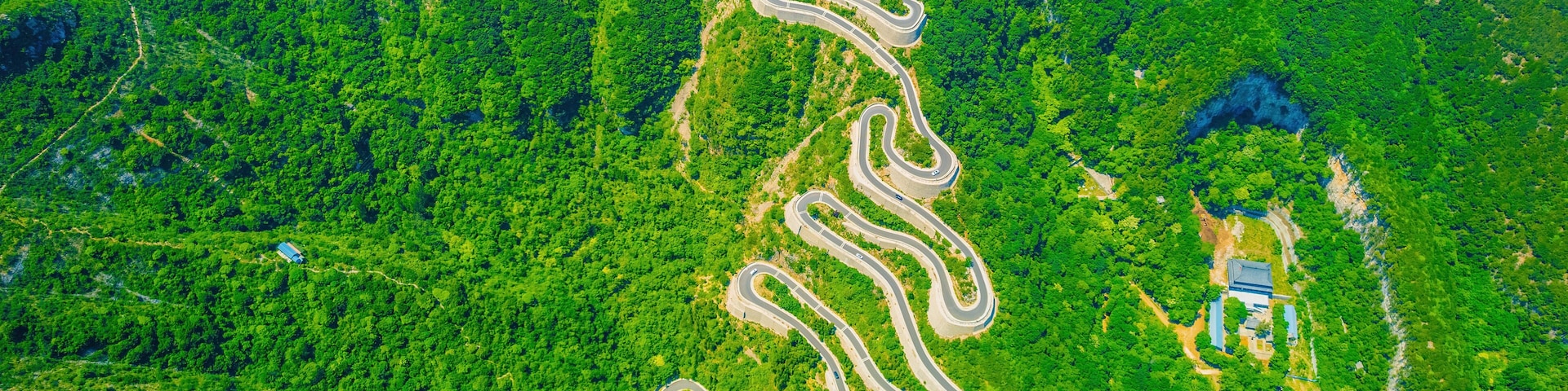 A winding road through a dense forest.