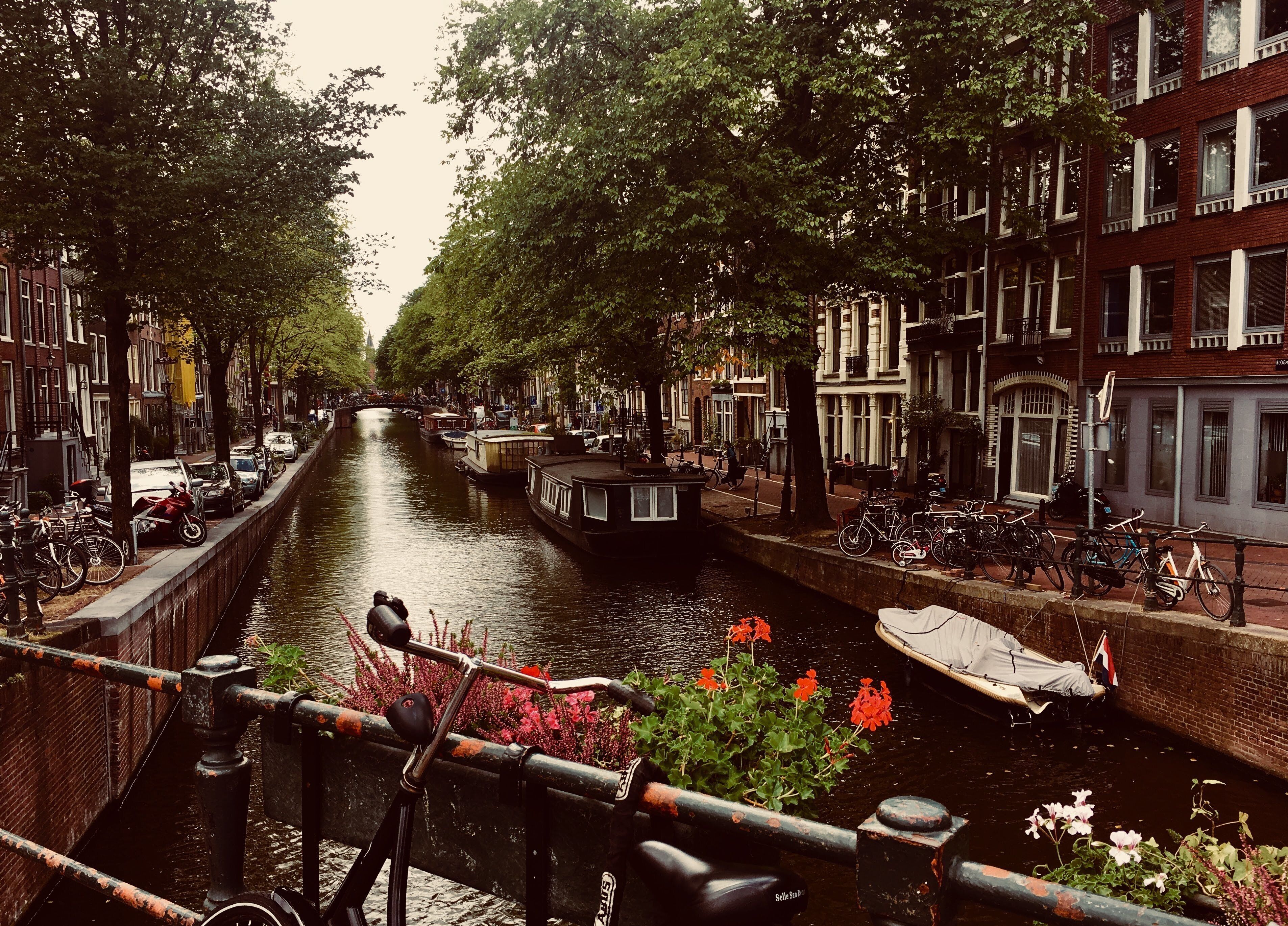A canal lined with trees and buildings, with boats docked along the water.