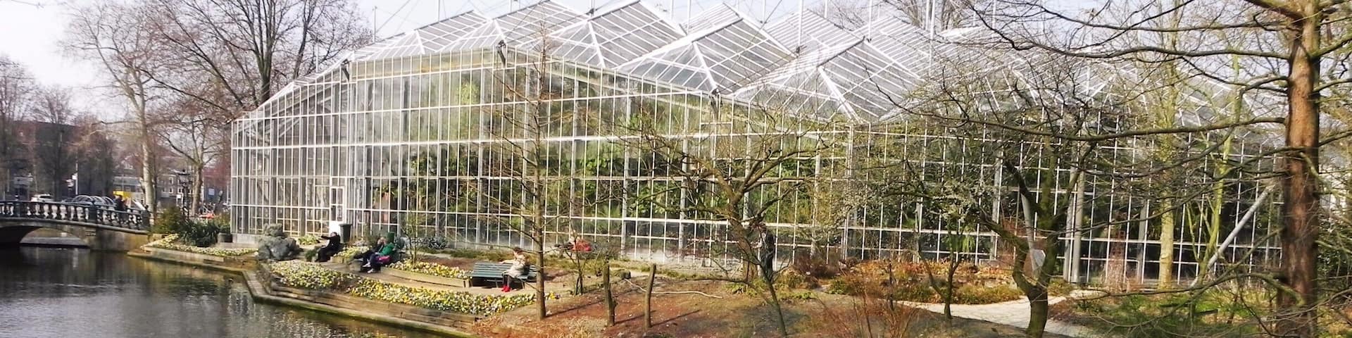 A lovely day spen in Amsterdam's Botanical Gardens: http://cityoftheweek.net/2015/04/10/amsterdam-in-bloom/