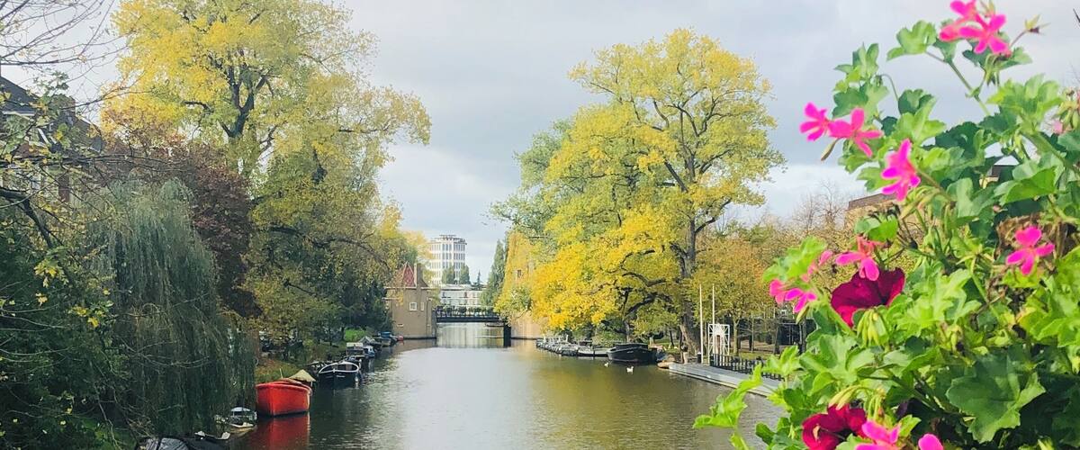 View from a bridge...near Maasstraat