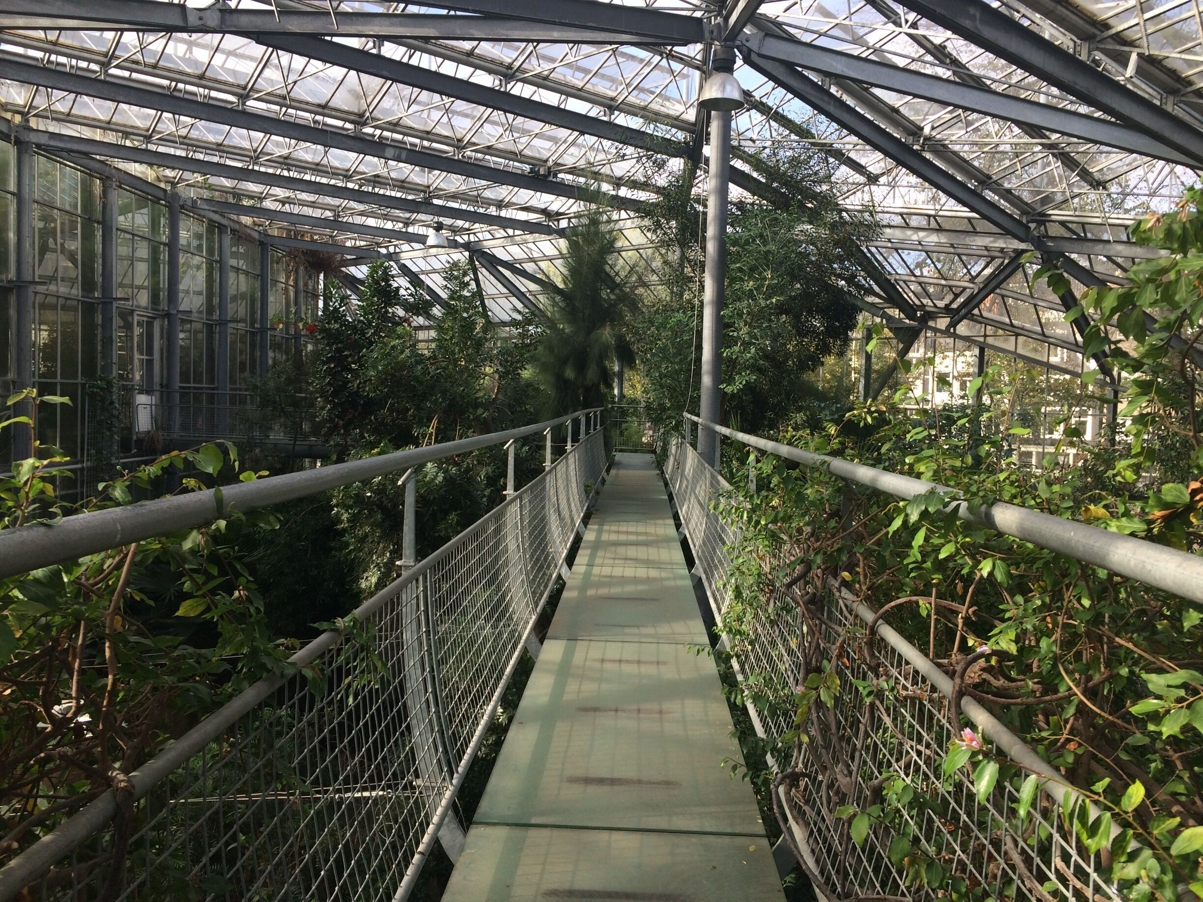 I was enchanted by this place--the meandering paths through thick vegetation, the delicate wonder of the butterfly house, the humid air of the tropical greenhouses. If you love plants and want to wander around with others who love plants, I cannot recommend this enough. There is also a sweet cafe and gift shop. #troveon #Amsterdam