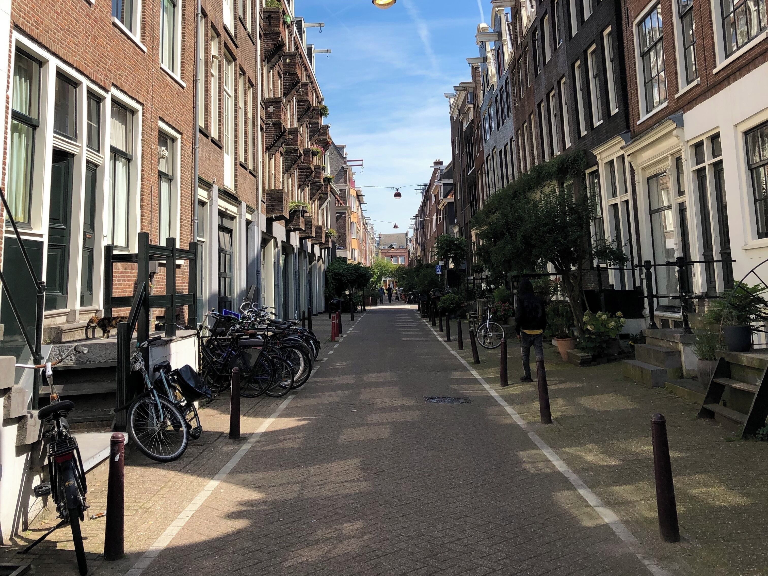 Amsterdam's alleys are worth exploring. You never know what you might find!
