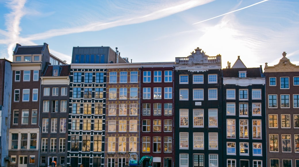 #amsterdam #netherlands