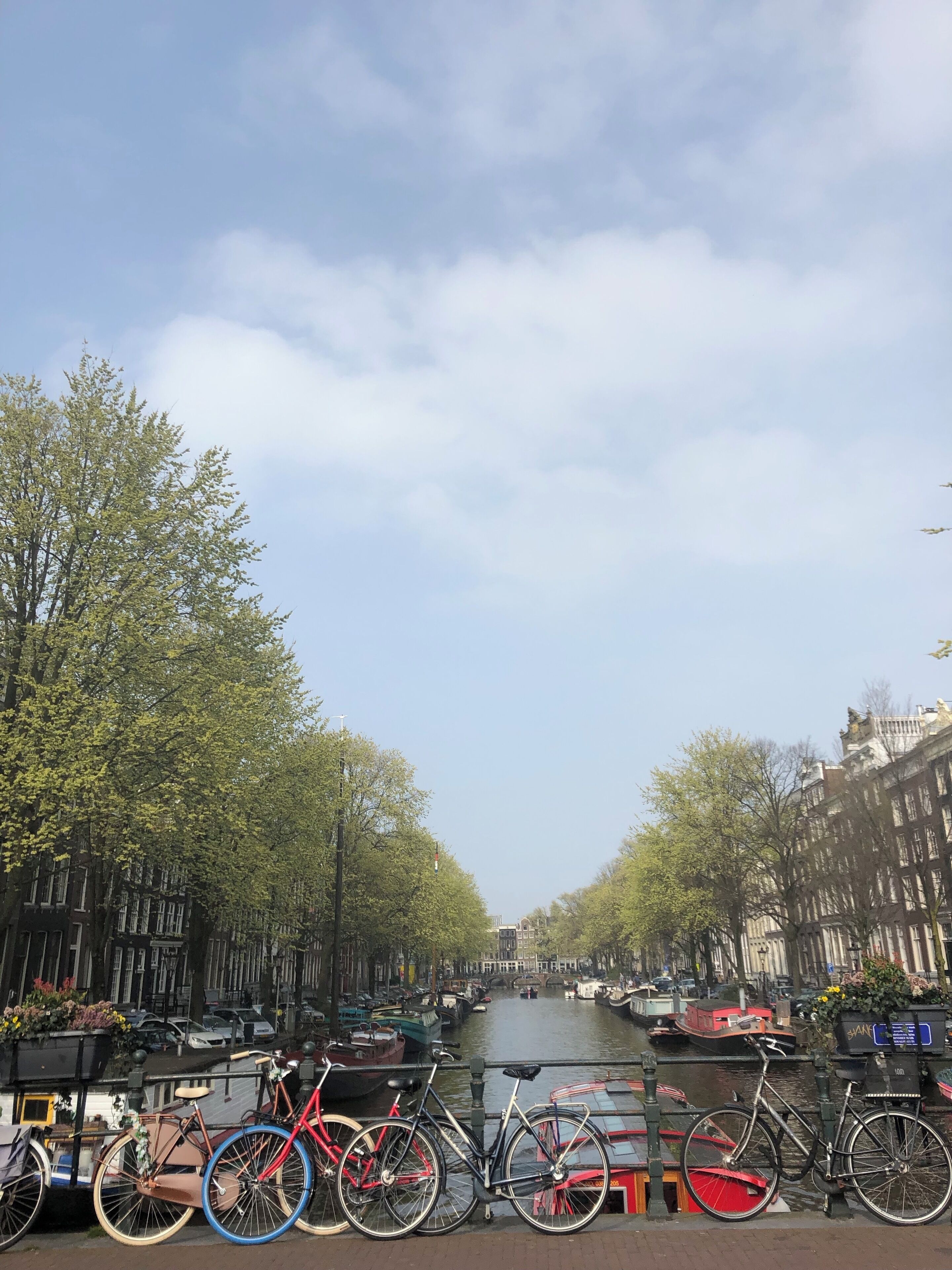 This neighbor of Amsterdam is my favorite - so many cute canals, bars to hang out at and shops to wander.