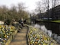 Amsterdam Botanical Gardens:
http://cityoftheweek.net/2015/04/10/amsterdam-in-bloom/