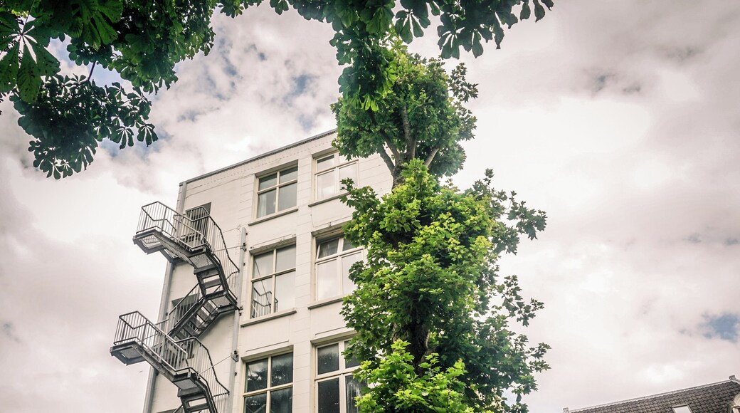 During the month of June is possible to enter the secret gardens of Amsterdam. Is is an amazing way to discover the hidden gems on the backyards of the houses, palaces and museums of the city #Trovember.