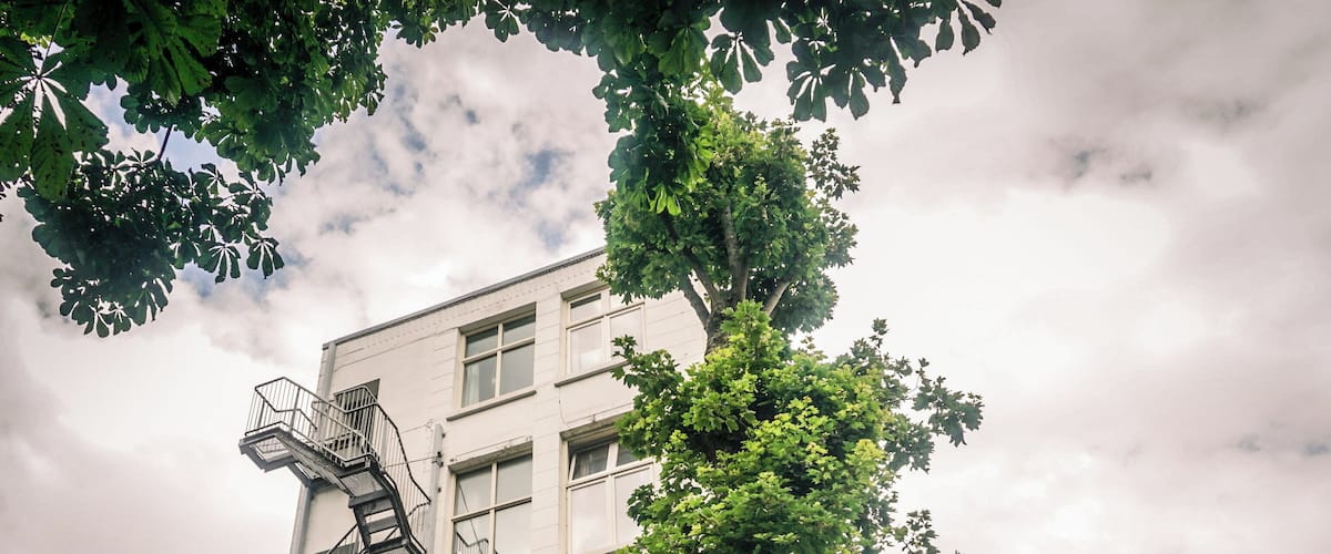 During the month of June is possible to enter the secret gardens of Amsterdam. Is is an amazing way to discover the hidden gems on the backyards of the houses, palaces and museums of the city #Trovember.