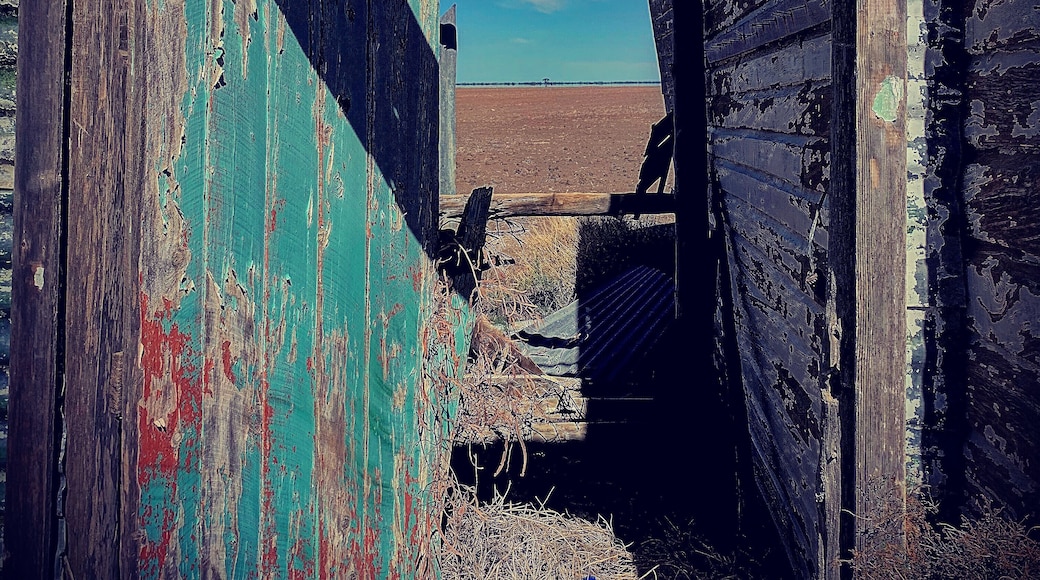 A view to the outback. Drought stricken at the moment, country NSW is struggling. Walgett is outback NSW between Dubbo and the opal mining town of Lightning ridge