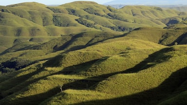 Rolling hills with dense green vegetation and shadows cast by sunlight.