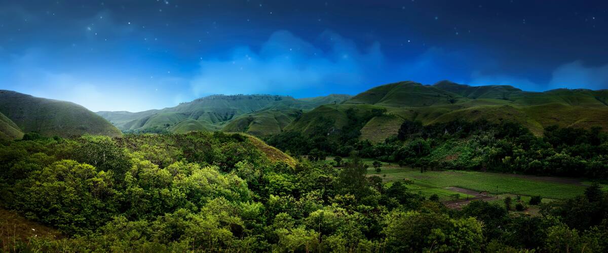 A lush green valley with rolling hills and a starry night sky.