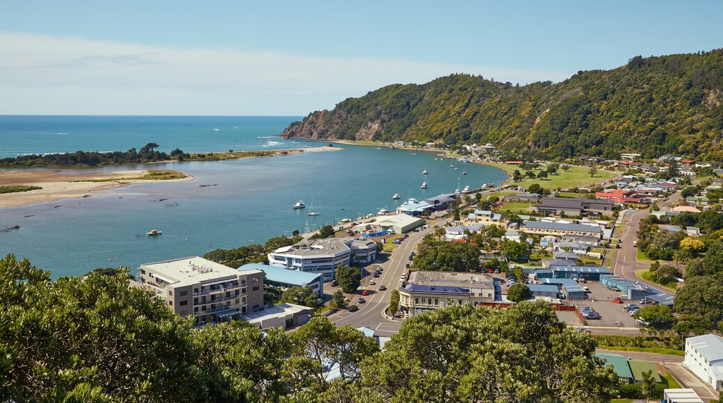 View of Whakatane in New Zealand