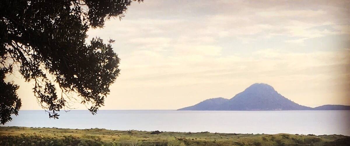 Whakatane on point 👌 A good recovery spot after morning stair climbs.