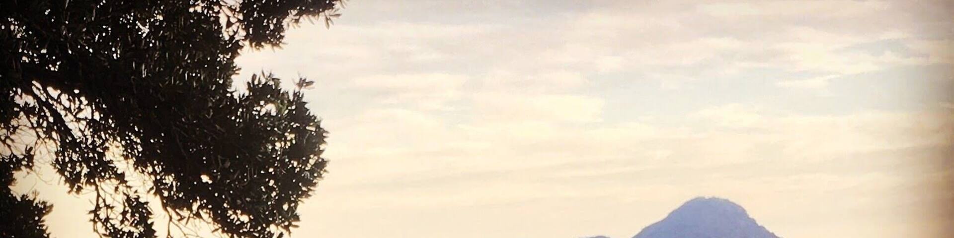 Whakatane on point 👌 A good recovery spot after morning stair climbs.