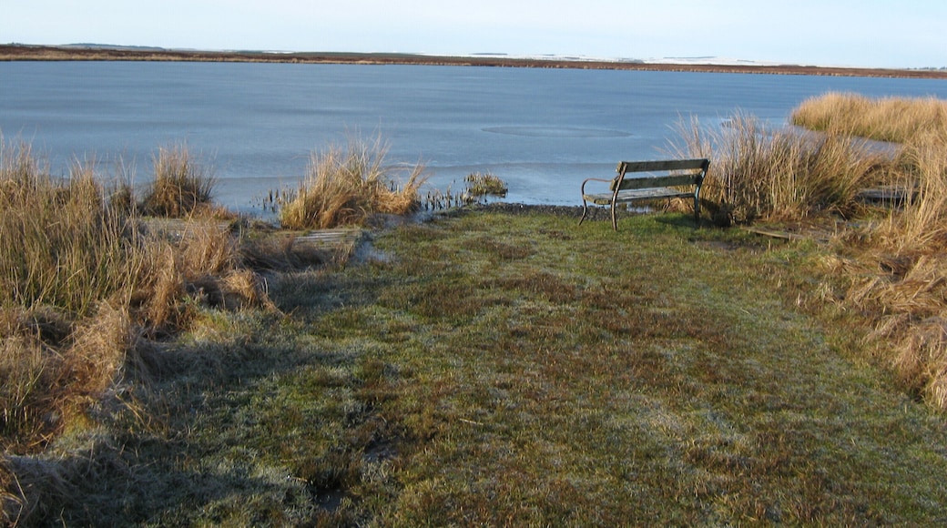 View over frozen Loch of Killimster View over the frozen Loch of Killimster.