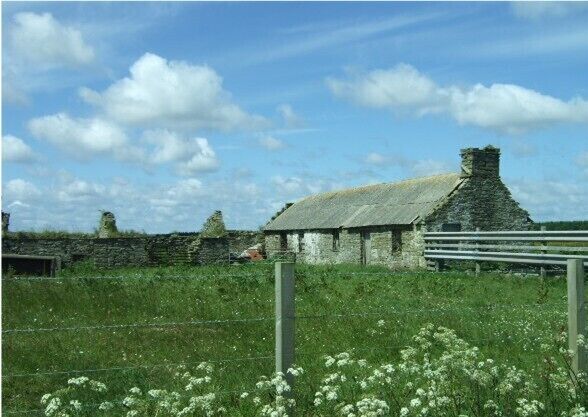 A stone building with a thatched roof, surrounded by a grassy field and a stone wall.