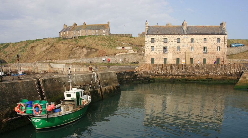The Harbour House, Keiss