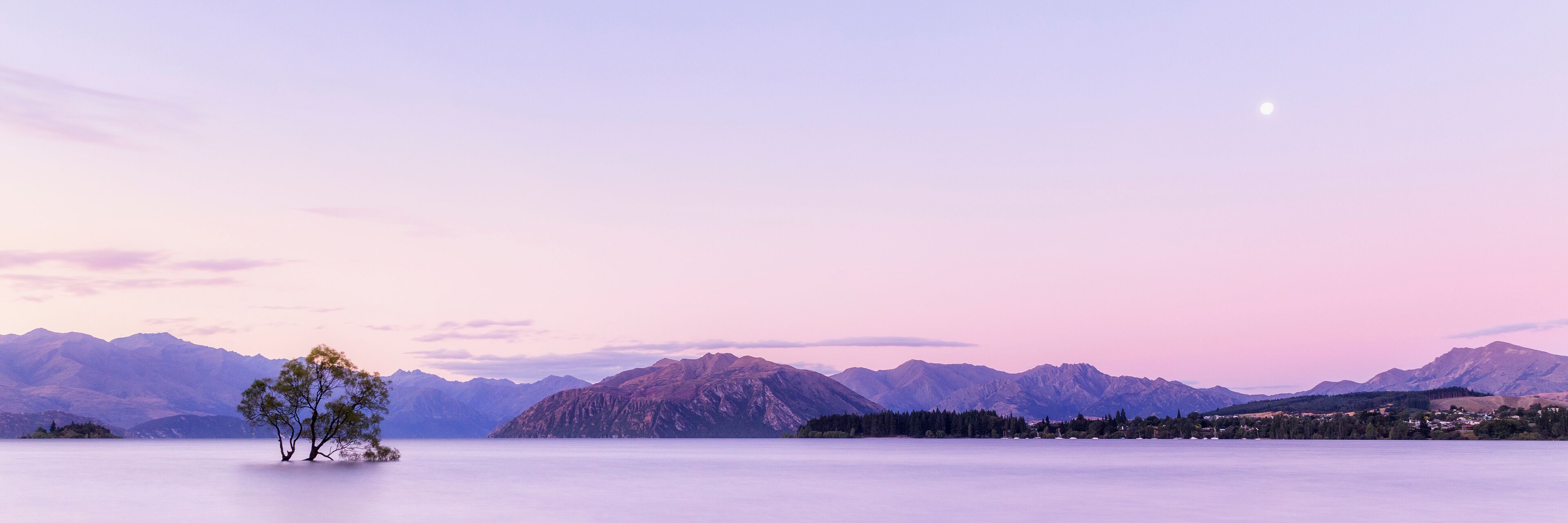 A calm lake with mountains in the background and a single tree in the foreground.