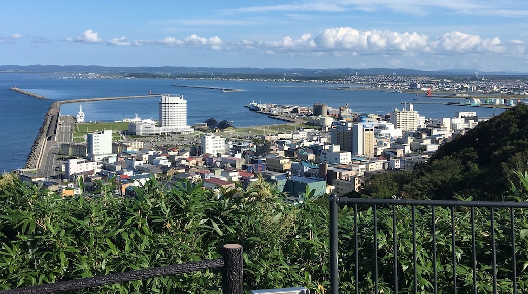 City of Wakkanai can be seen from Wakkanai Park which is up the hill or from Centennial Tower which offers a clear view of entire city and also the island of Rishiri.
While Wakkanai was just a getaway to the island of Rishiri and Rebun I had a very pleasant stay here. It is quiet and clean with the freshest air! While there isn't much other than a fishing industry here it is here I realized that Japanese had it good as a citizen more than any other parts of the world.
We know there are inequalities as a citizen in most part of the world in that the richer cities or sectors of a country will have it better than others in term of basic infrastructure and communal facilities. Not so much in Japan though, even the most remote places its citizen enjoys the same basic services as other parts of the country. That's quite a feat as far as I am concerned. One won't feel one is lacking even if one is few thousand miles away from the core of civilization (as in Tokyo, Osaka and Kyoto). I think that sums up why Japanese are contented and law abiding no matter where they live! They even queue for basic necessities after a tsunami where they have lost everything they possess! No other country has such discipline and order in its citizens!