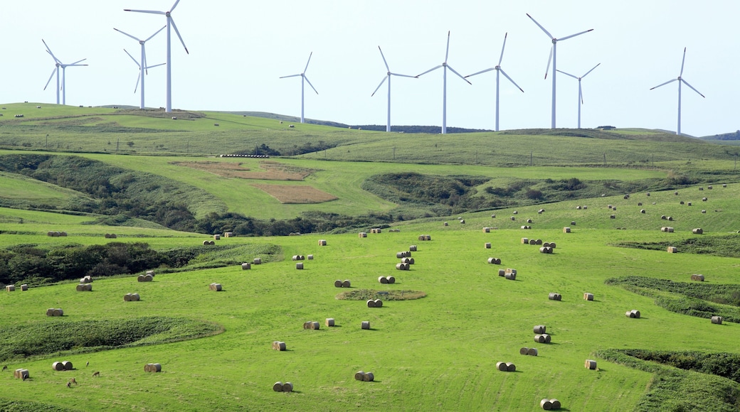 Soya Hill And The Windmill For The Power Generation; Shutterstock ID 203564323