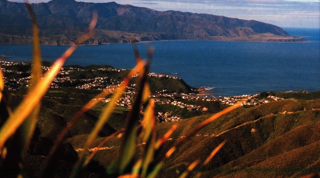 Brooklyn, Wellington, New Zealand. Taken while riding my mountain bike up the hill towards Barking Emu and Red Rocks trails. Great views up there.
More info, photos, video here https://tinyurl.com/y7q454nu.
Photo taken with a Canon EOS-1 35mm Film Camera. 85mm Sigma 1.4. Kodak Portra 400.
#Wellington #NewZealand #MountainBike #Vista