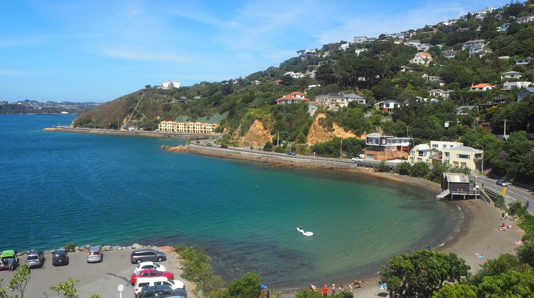 Baleana Bay, Evans Bay Parade, Wellington. On a hot summer Saturday afternoon. Many people cycling, walkingn or jogging. Holiday makers and weekenders relax and layback. Water is crystal clear and so clean. The entire Evans Bay and the Wellington Harbour is so very calm and serene, almost like a lake. It's so heavenly here. One of the best memorable vacation for me.