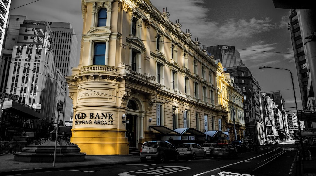 Found on a walk down Willis Street, Wellington the morning after experiencing The World of Wearable Arts show.