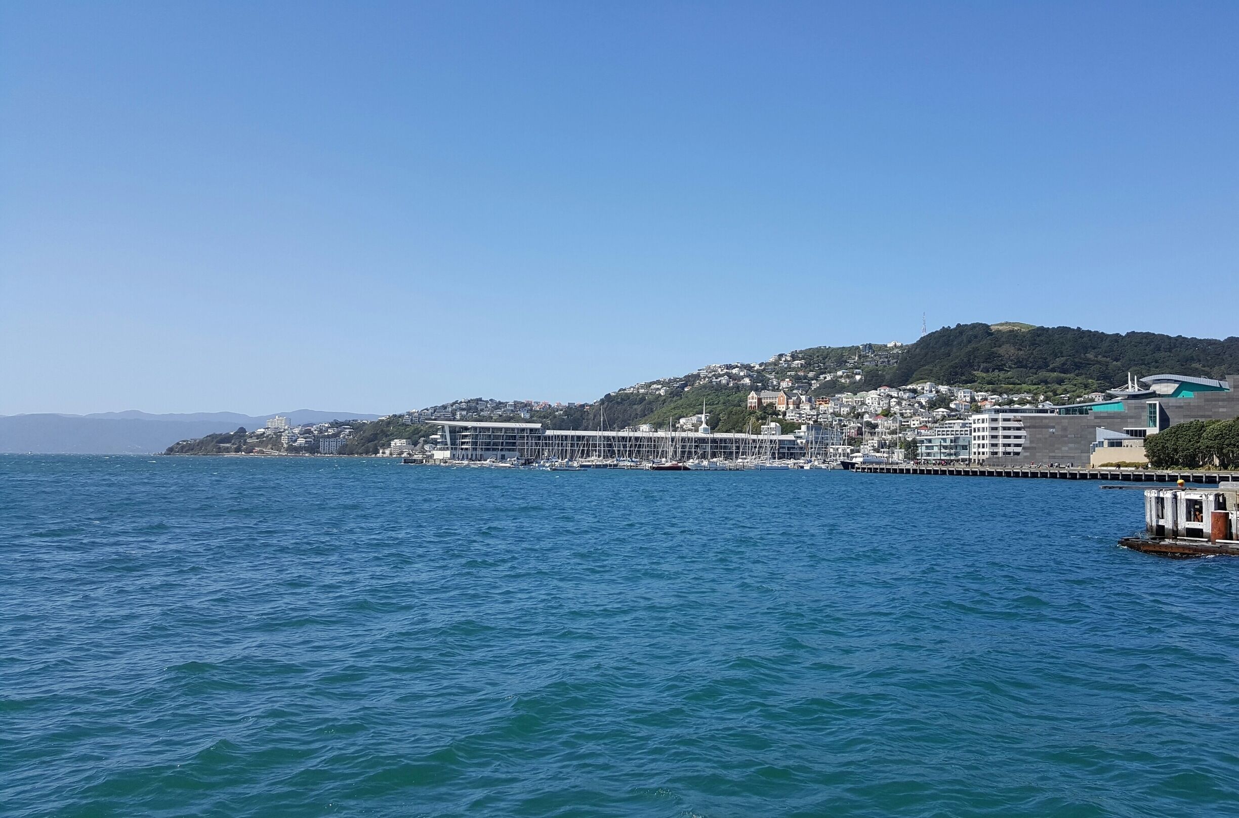 A clear day at the Wellington waterfront
#blue