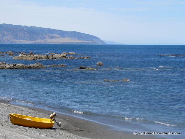 From the Red Rocks walkway looking back to Wellington's harbour entrance. On a good day, you don't want to try this in a southerly storm! 