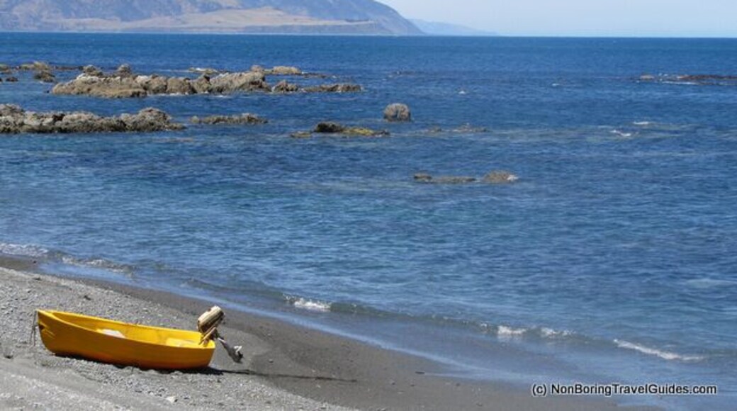 From the Red Rocks walkway looking back to Wellington's harbour entrance. On a good day, you don't want to try this in a southerly storm!