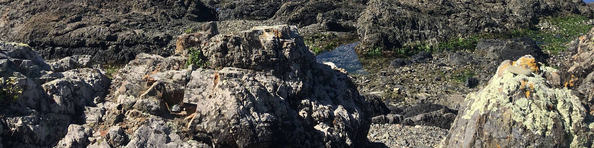 Island Bay Wellington