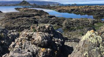 Island Bay Wellington