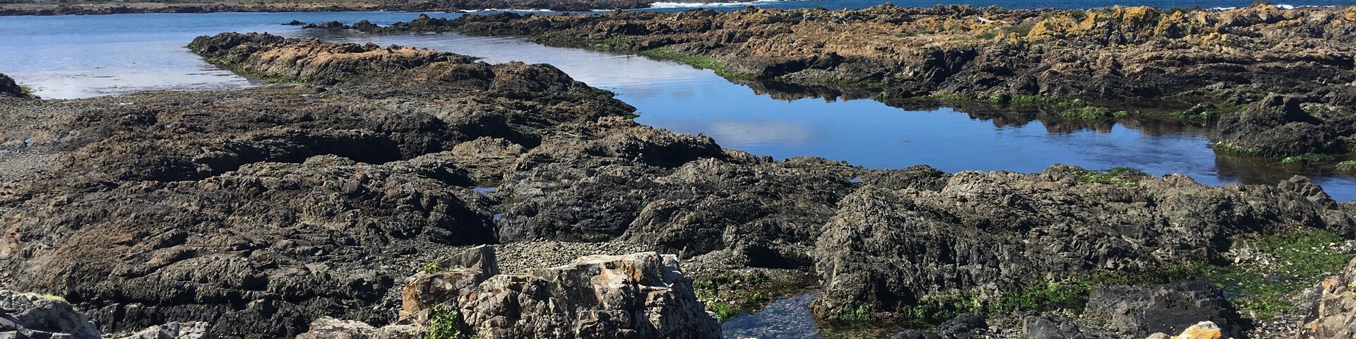 Island Bay  Wellington